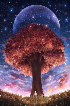 贺兆言思思（黑夜里的星光:结局+番外）完整全文在线阅读_(贺兆言思思)最新章节列表_笔趣阁（黑夜里的星光:结局+番外）