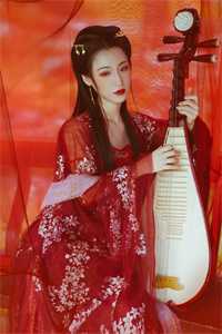 文礼柳如小说全文(文礼柳如)小说免费阅读无弹窗大结局_文礼柳如全文无弹窗完整版阅读