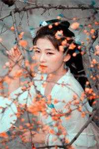 旧时桃花不相逢(夏星禾段珩)新热门小说_完本小说阅读旧时桃花不相逢夏星禾段珩