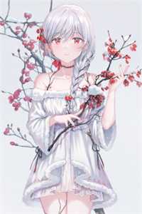 无魔法王国的魔法公主